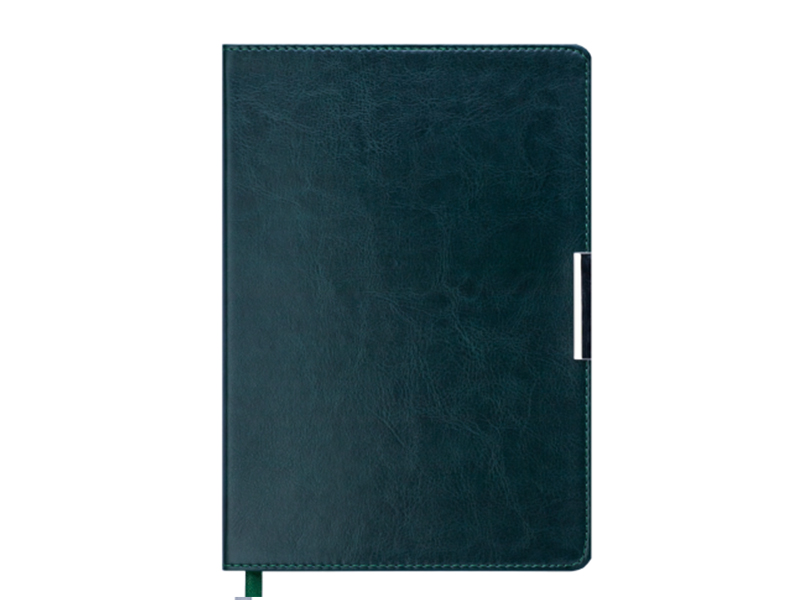 Щоденник недатований А5 SALERMO 288стор., гнучкий, кремовий блок (лінія), зелений