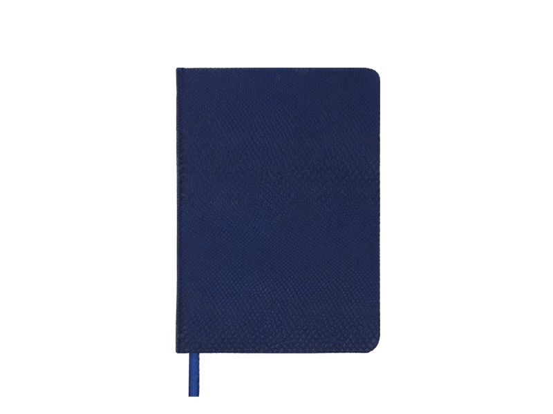 Щоденник недатований А6 AMAZONIA 288стор., білий блок (лінія), синій