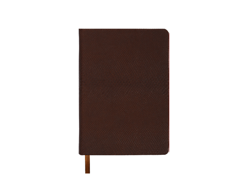Щоденник недатований А6 AMAZONIA 288стор., білий блок (лінія), коричневий
